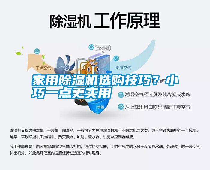 家用除濕機(jī)選購(gòu)技巧？小巧一點(diǎn)更實(shí)用
