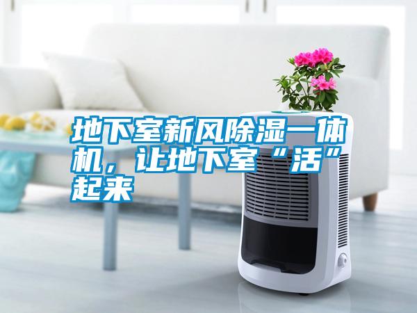 地下室新風(fēng)除濕一體機(jī)，讓地下室“活”起來(lái)