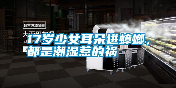 17歲少女耳朵進(jìn)蟑螂，都是潮濕惹的禍
