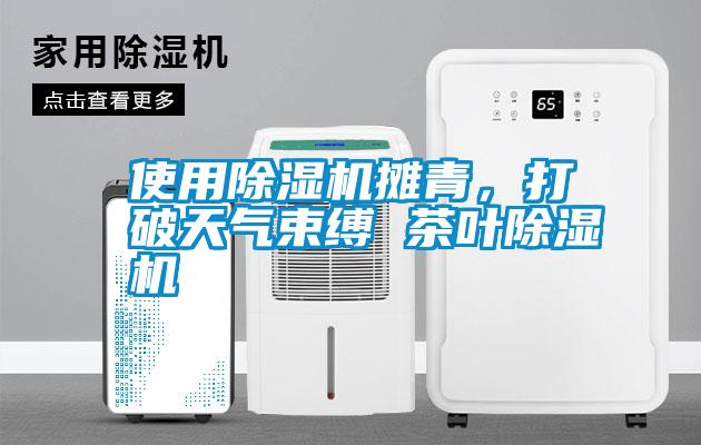 使用除濕機攤青，打破天氣束縛 茶葉除濕機