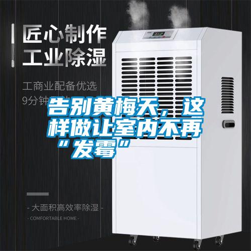 告別黃梅天，這樣做讓室內(nèi)不再“發(fā)霉”