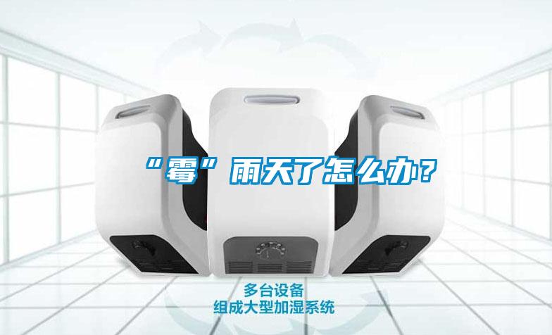 “霉”雨天了怎么辦？