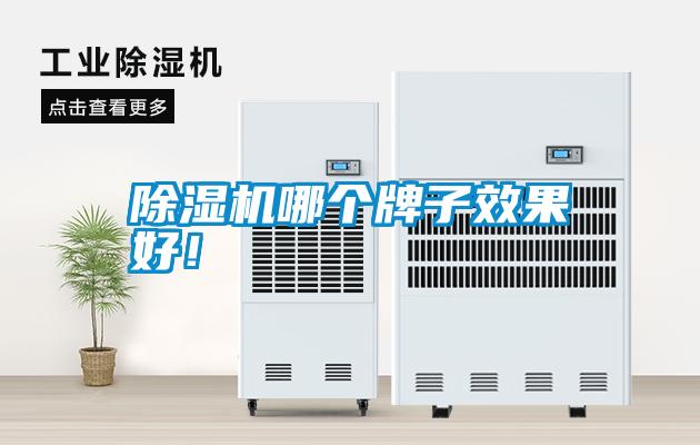 除濕機哪個牌子效果好！