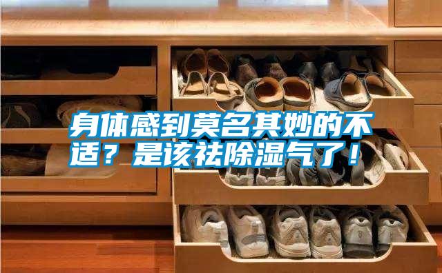 身體感到莫名其妙的不適？是該祛除濕氣了！