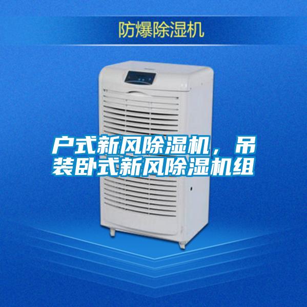 戶(hù)式新風(fēng)除濕機(jī)，吊裝臥式新風(fēng)除濕機(jī)組