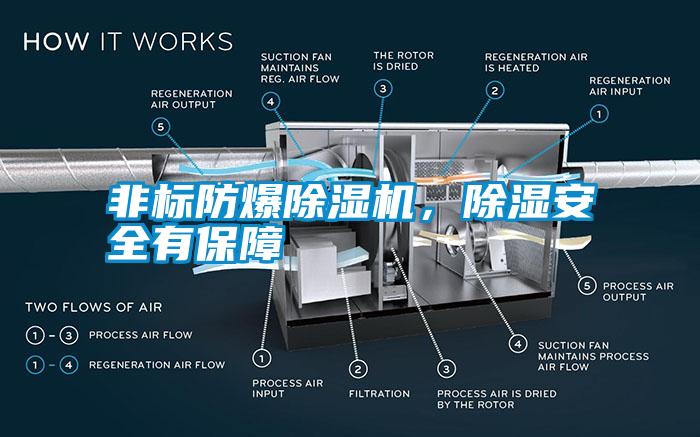 非標(biāo)防爆除濕機(jī)，除濕安全有保障