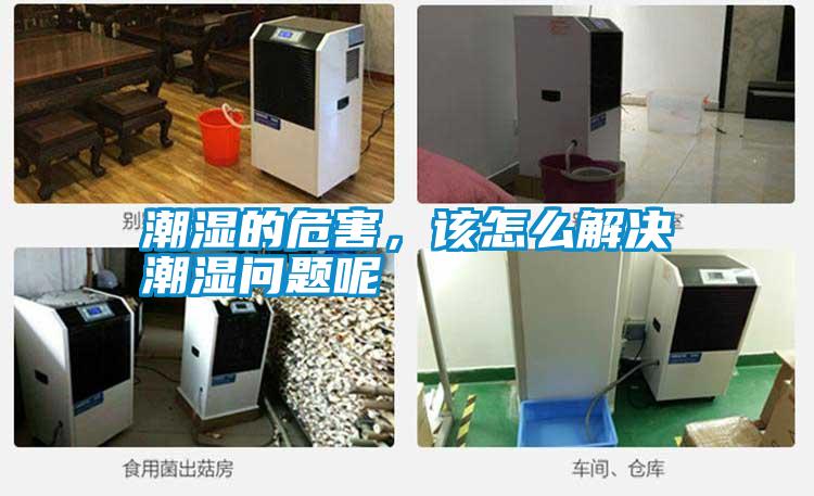 潮濕的危害，該怎么解決潮濕問(wèn)題呢