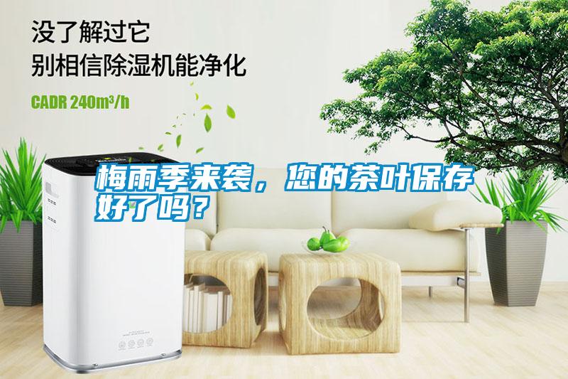 梅雨季來襲，您的茶葉保存好了嗎？