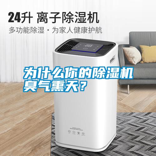 為什么你的除濕機(jī)臭氣熏天？