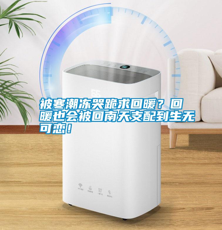 被寒潮凍哭跪求回暖？回暖也會被回南天支配到生無可戀！