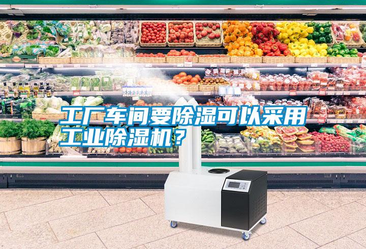 工廠車間要除濕可以采用工業(yè)除濕機(jī)？