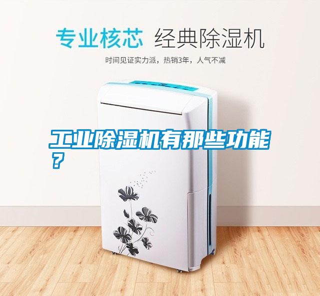 工業(yè)除濕機有那些功能？
