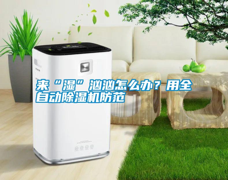 來“濕”洶洶怎么辦？用全自動除濕機(jī)防范