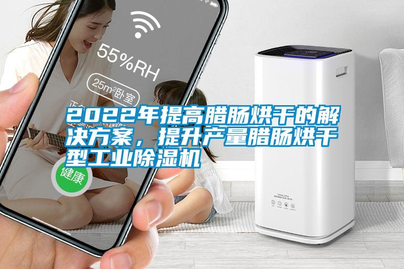2022年提高臘腸烘干的解決方案，提升產(chǎn)量臘腸烘干型工業(yè)除濕機(jī)