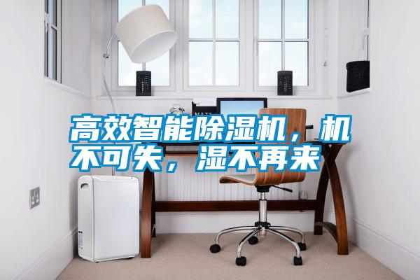 高效智能除濕機，機不可失，濕不再來
