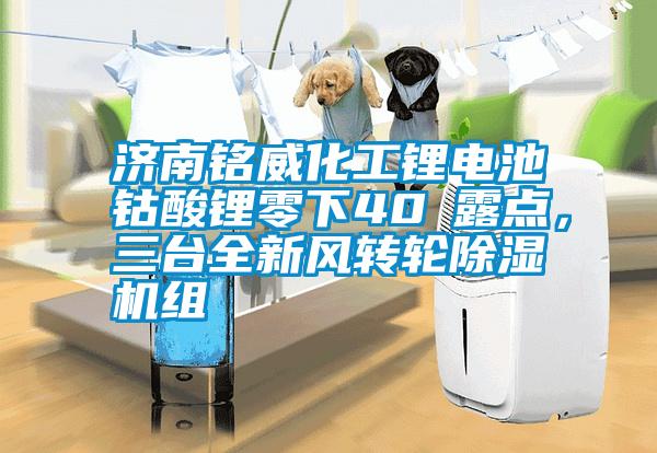 濟(jì)南銘威化工鋰電池鈷酸鋰零下40℃露點(diǎn)，三臺(tái)全新風(fēng)轉(zhuǎn)輪除濕機(jī)組