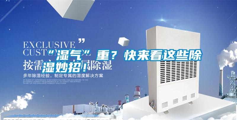 “濕氣”重？快來看這些除濕妙招！