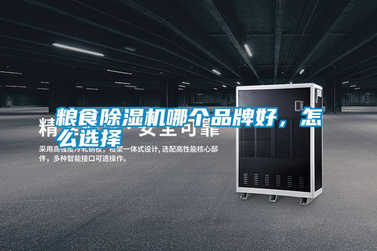 糧食除濕機(jī)哪個(gè)品牌好，怎么選擇