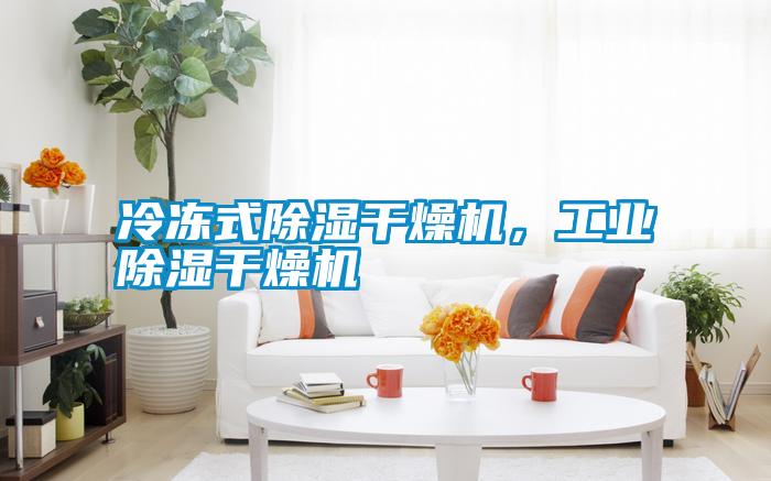 冷凍式除濕干燥機(jī)，工業(yè)除濕干燥機(jī)