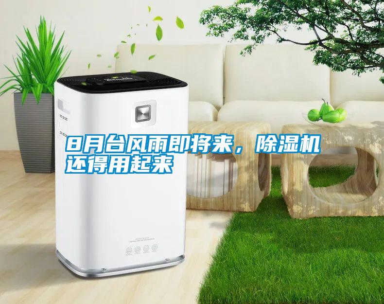 8月臺(tái)風(fēng)雨即將來，除濕機(jī)還得用起來