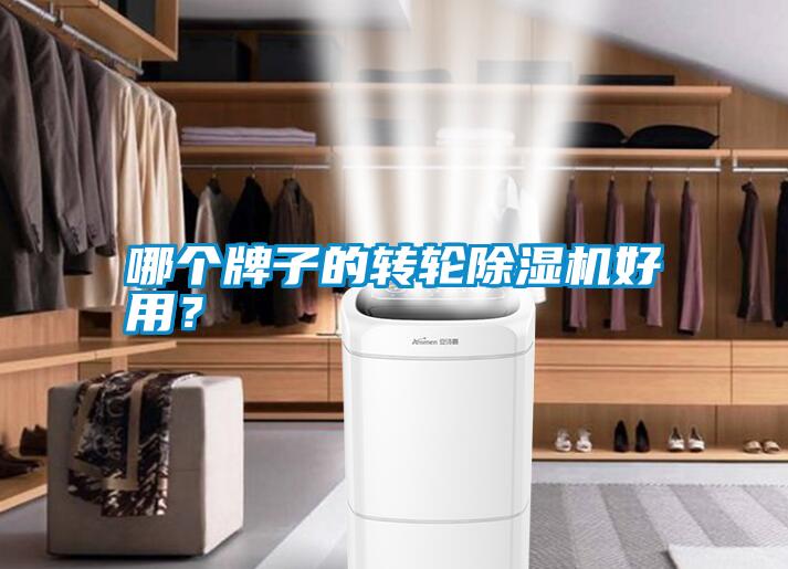哪個牌子的轉輪除濕機好用？