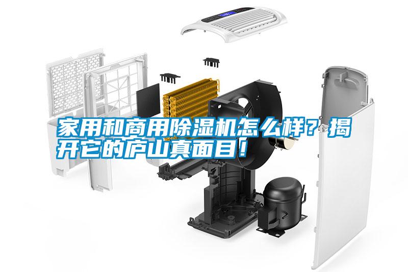 家用和商用除濕機怎么樣？揭開它的廬山真面目！