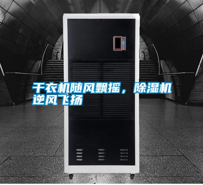 干衣機(jī)隨風(fēng)飄搖，除濕機(jī)逆風(fēng)飛揚(yáng)