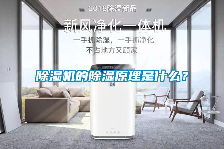 除濕機(jī)的除濕原理是什么？