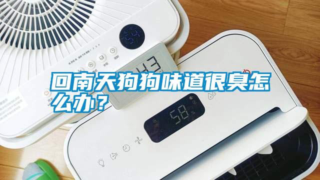 回南天狗狗味道很臭怎么辦？