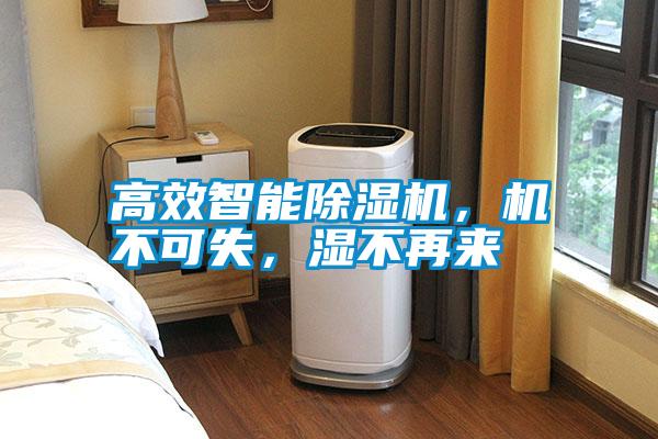 高效智能除濕機，機不可失，濕不再來