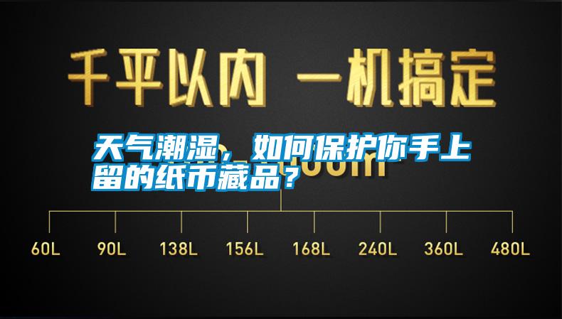 天氣潮濕，如何保護(hù)你手上留的紙幣藏品？