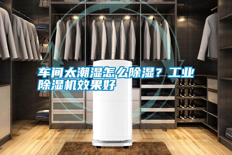 車間太潮濕怎么除濕？工業(yè)除濕機效果好