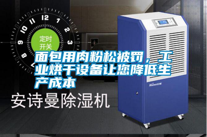 面包用肉粉松被罰，工業(yè)烘干設備讓您降低生產成本