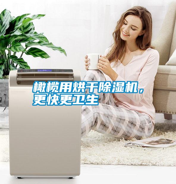 橄欖用烘干除濕機，更快更衛(wèi)生