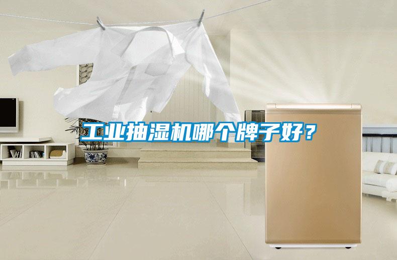工業(yè)抽濕機(jī)哪個(gè)牌子好？