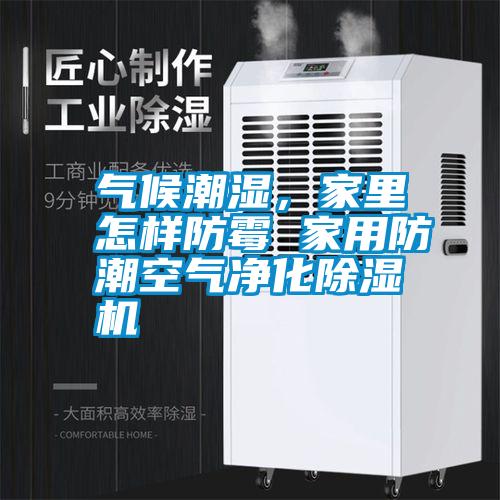 氣候潮濕，家里怎樣防霉 家用防潮空氣凈化除濕機(jī)