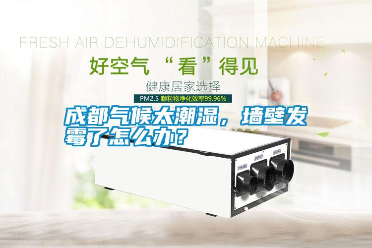 成都?xì)夂蛱睗?，墻壁發(fā)霉了怎么辦？