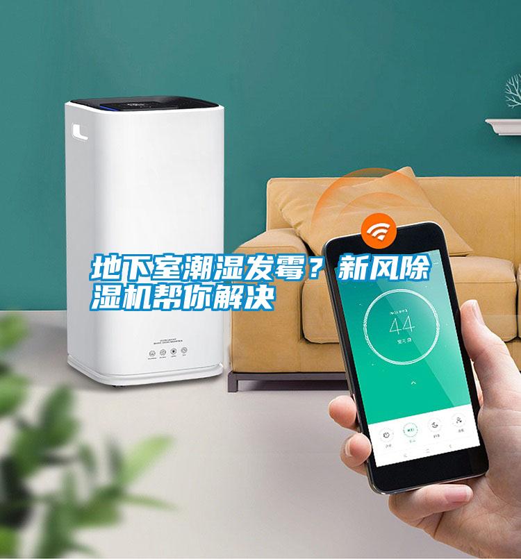 地下室潮濕發(fā)霉？新風(fēng)除濕機(jī)幫你解決