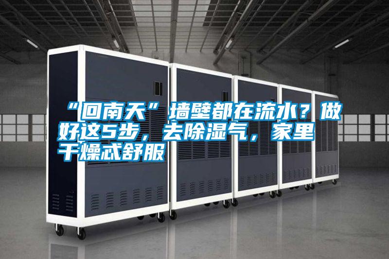 “回南天”墻壁都在流水？做好這5步，去除濕氣，家里干燥忒舒服