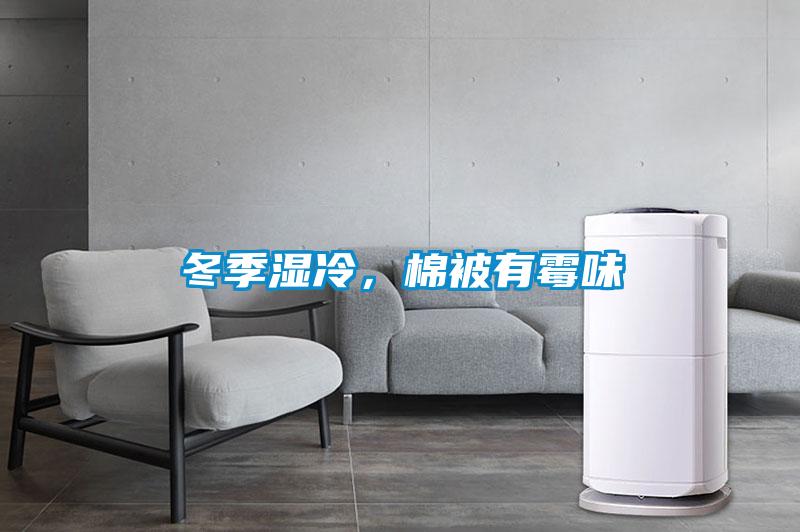 冬季濕冷，棉被有霉味
