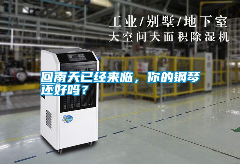 回南天已經來臨，你的鋼琴還好嗎？