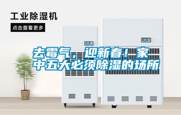 去霉氣，迎新春！家中五大必須除濕的場所