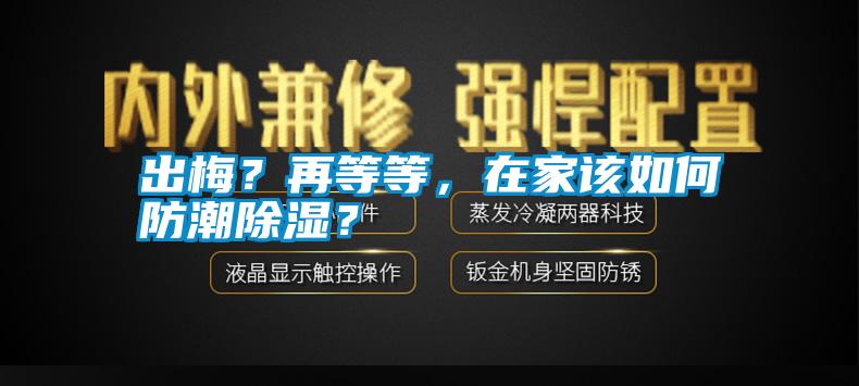 出梅？再等等，在家該如何防潮除濕？