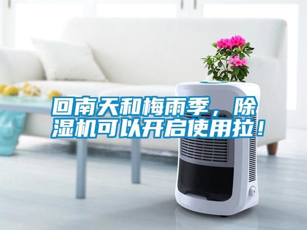 回南天和梅雨季，除濕機(jī)可以開啟使用拉！