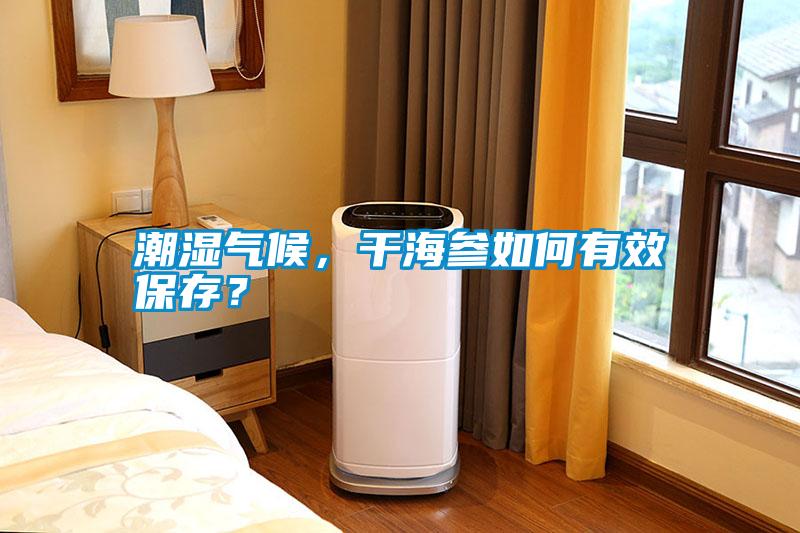 潮濕氣候，干海參如何有效保存？