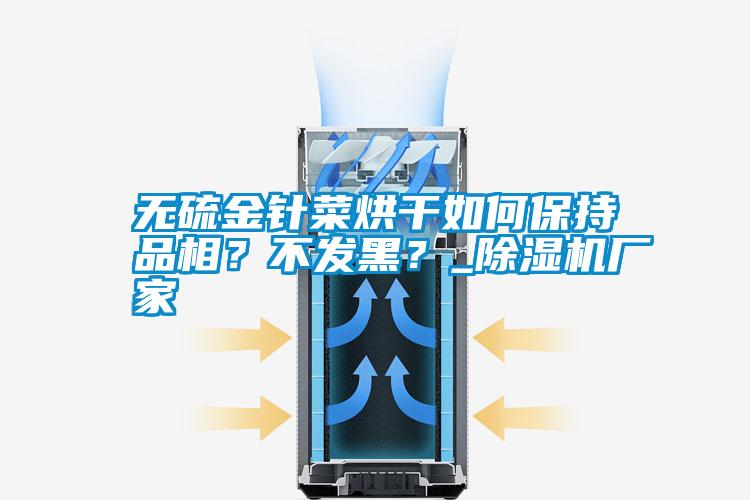 無硫金針菜烘干如何保持品相？不發(fā)黑？_除濕機廠家