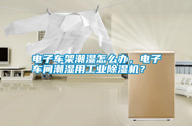 電子車架潮濕怎么辦，電子車間潮濕用工業(yè)除濕機？