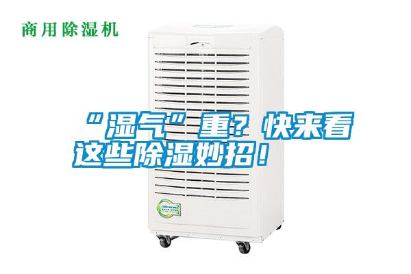 “濕氣”重？快來看這些除濕妙招！
