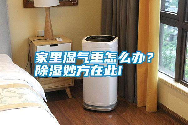 家里濕氣重怎么辦？除濕妙方在此!