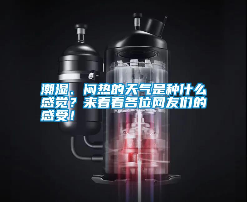 潮濕、悶熱的天氣是種什么感覺？來看看各位網(wǎng)友們的感受！